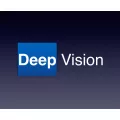 Deep Vision