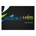 Bluebird Hub Web Design