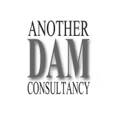 Another DAM Consultancy