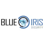 Perspective Software (Blue Iris)