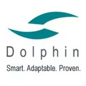 Dolphin Enterprise Solutions Corporation