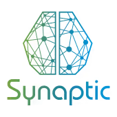 Synaptic Intelligence